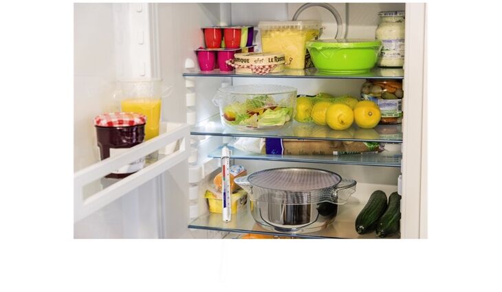 Xavax GEFRIERTHERMOMETER