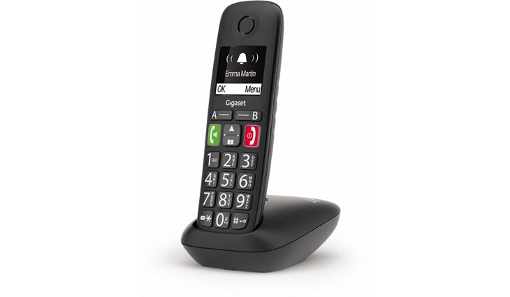 Gigaset E290