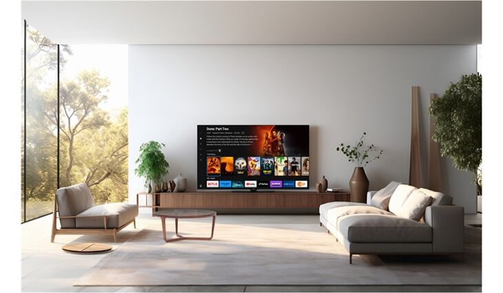 Panasonic TB-65W60AEZ
