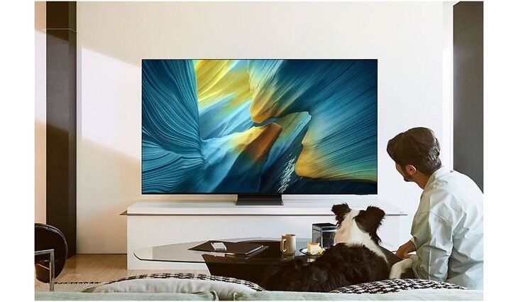 Samsung GQ65S95FAT