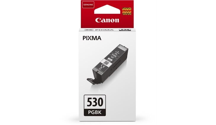 Canon 6117C001 CANON PGI530PGBK TS Tinte