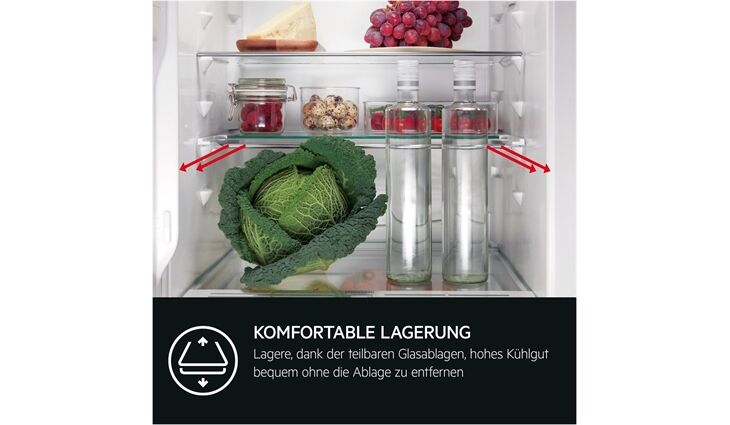 AEG TSF5O881DF EINBAUKUEHLSCHRANK 4?*<90