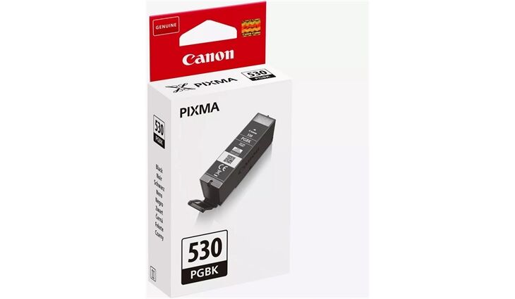 Canon 6117C001 CANON PGI530PGBK TS Tinte