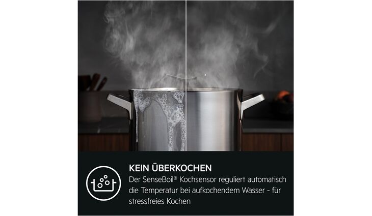 AEG TI64IB1BIZ KOCHMULDE INDUKTION AUTA